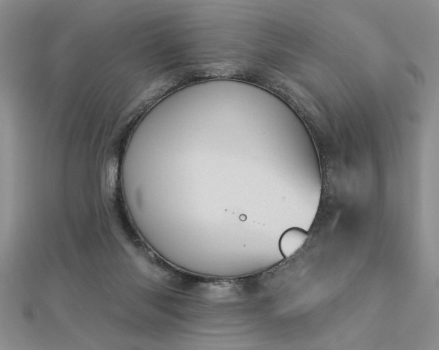 X0000112780118200908201537