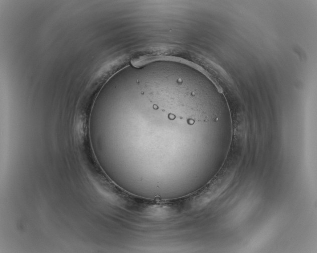 X0000112780119200908201537