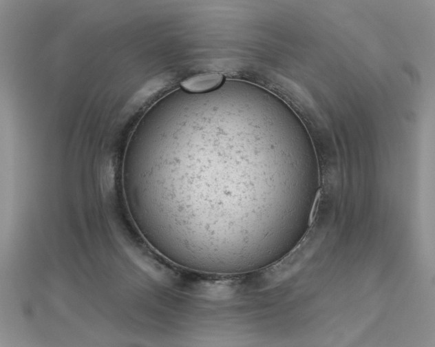 X0000112780120200908201537