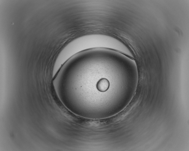 X0000112780121200908201537