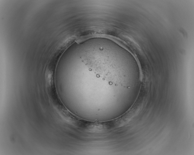 X0000112780123200908201537