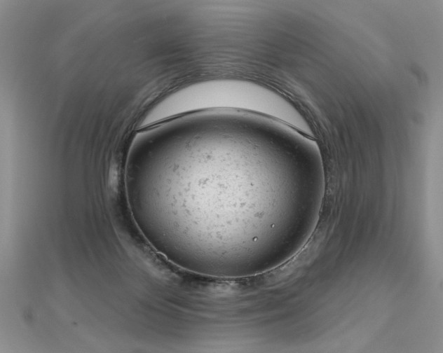 X0000112780124200908201537