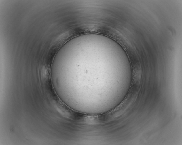 X0000112780126200908201537