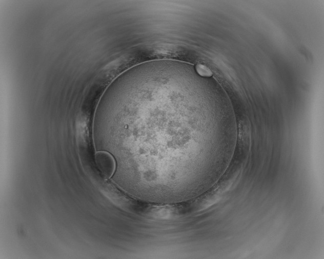 X0000112780127200908201537