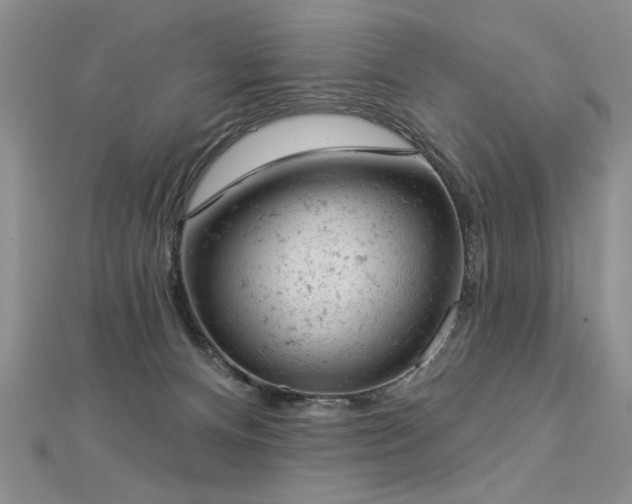 X0000112780128200908201537