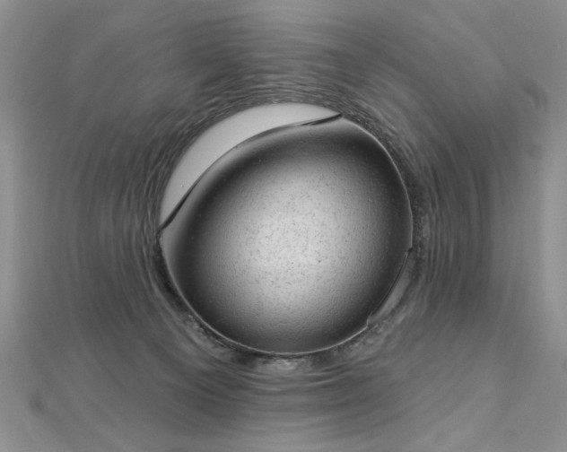 X0000112780129200908201537