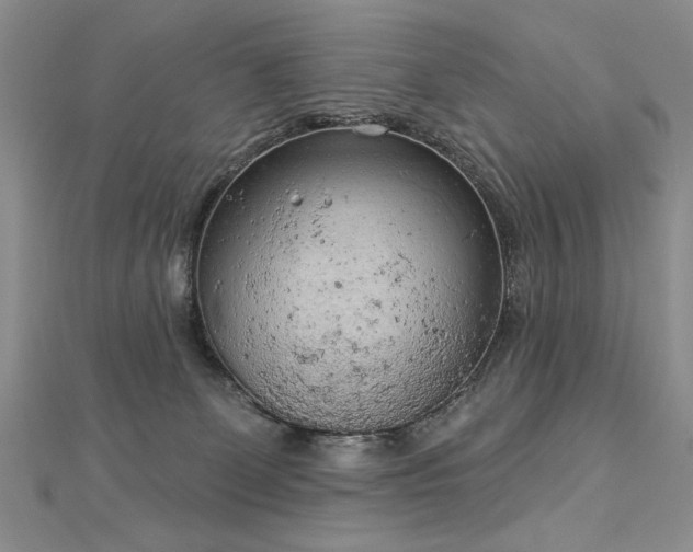 X0000112780131200908201537