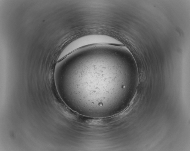 X0000112780132200908201537