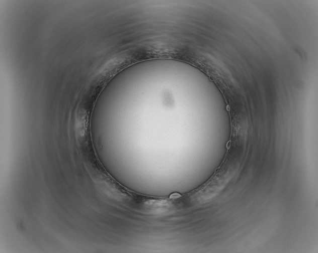 X0000112780133200908201537