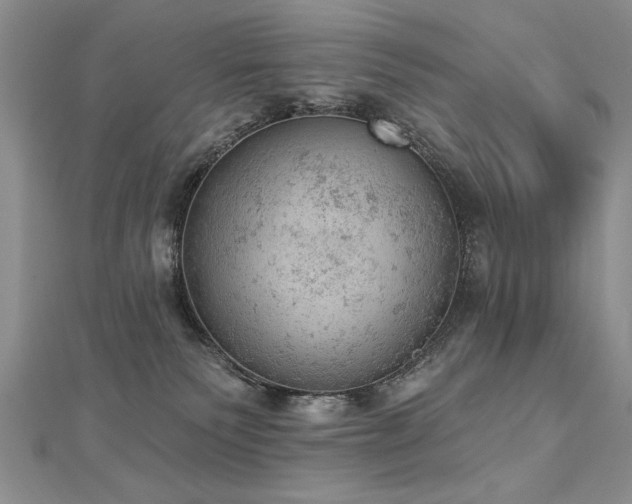 X0000112780135200908201536