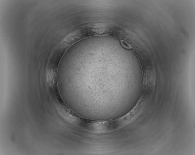 X0000112780136200908201536