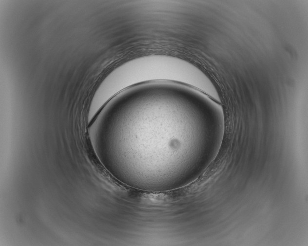 X0000112780137200908201536