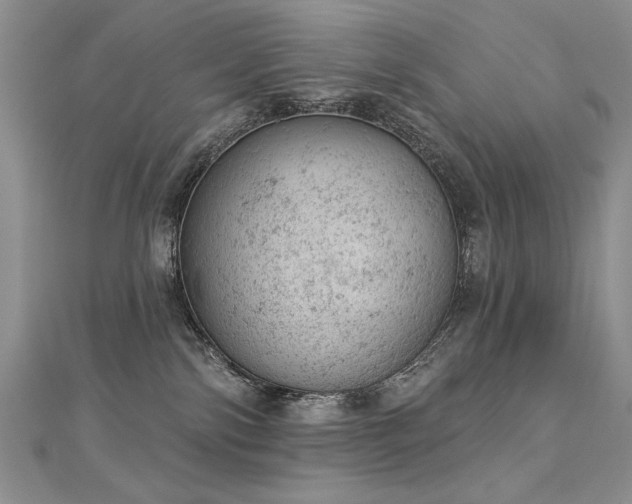 X0000112780138200908201536