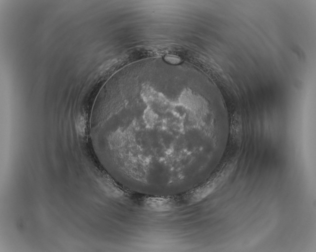 X0000112780139200908201536