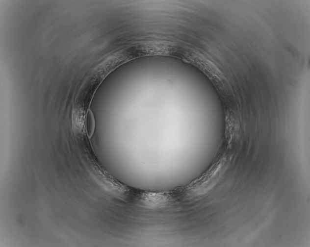 X0000112780141200908201536