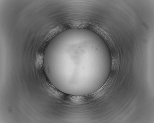 X0000112780142200908201536