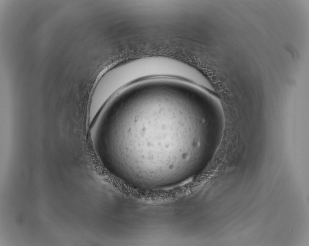 X0000112780144200908201536