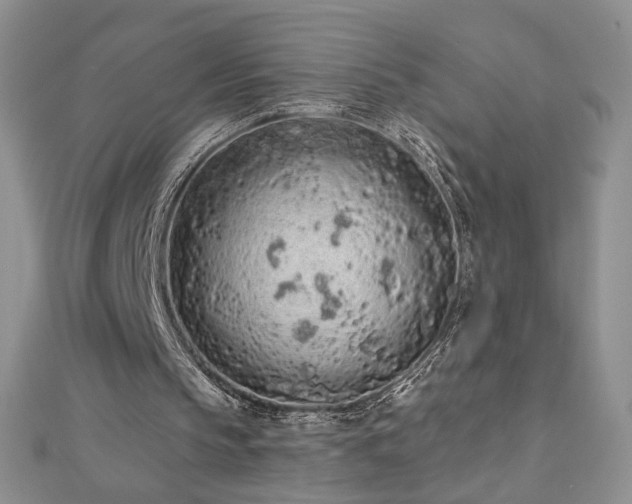 X0000112780145200908201536