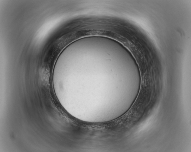 X0000112780146200908201536