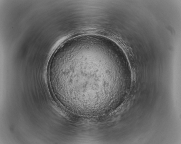 X0000112780147200908201536