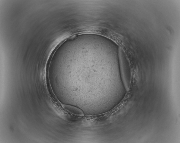 X0000112780148200908201536