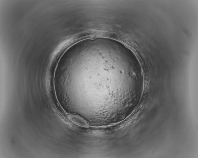 X0000112780149200908201536