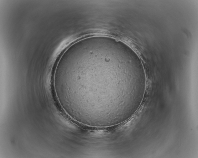 X0000112780151200908201536