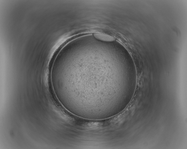 X0000112780152200908201536