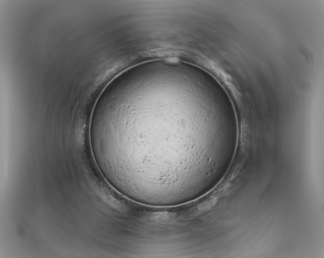 X0000112780153200908201536