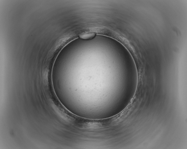 X0000112780154200908201536