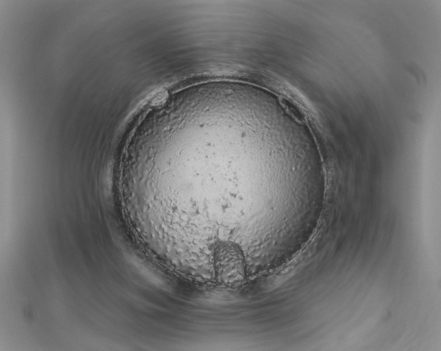 X0000112780155200908201536