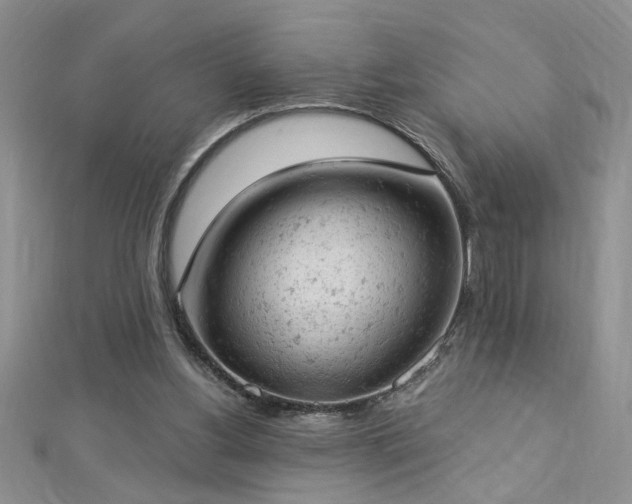 X0000112780156200908201536