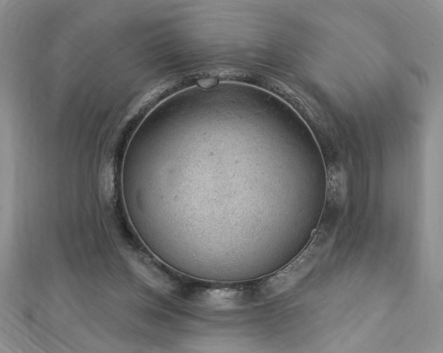 X0000112780158200908201536