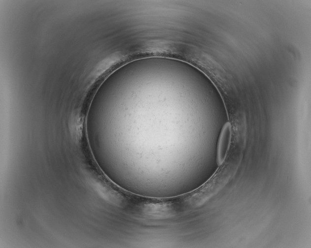 X0000112780160200908201536