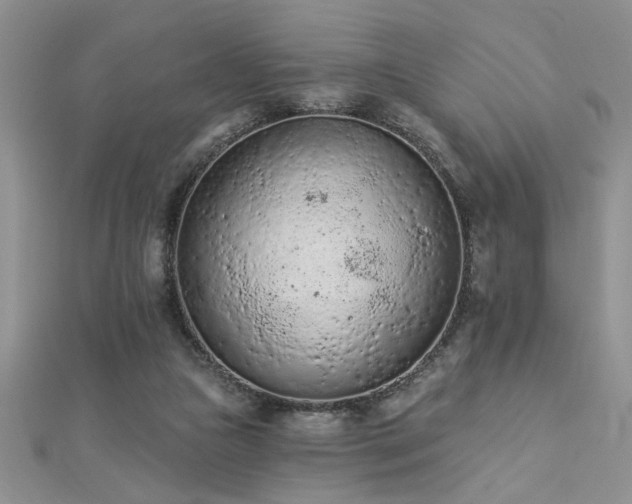 X0000112780161200908201536