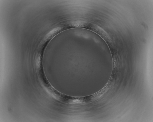 X0000112780163200908201536