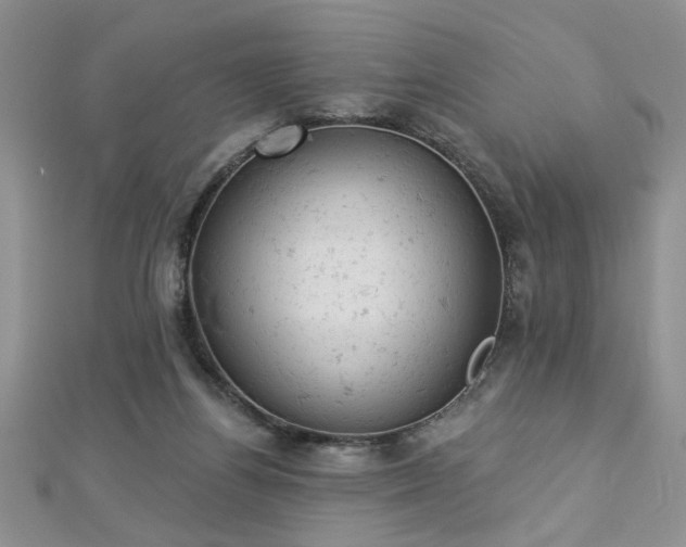 X0000112780164200908201536