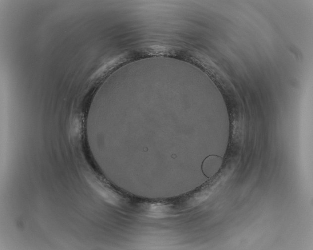 X0000112780165200908201536