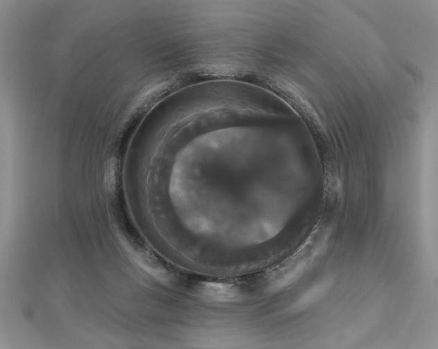 X0000112780167200908201536