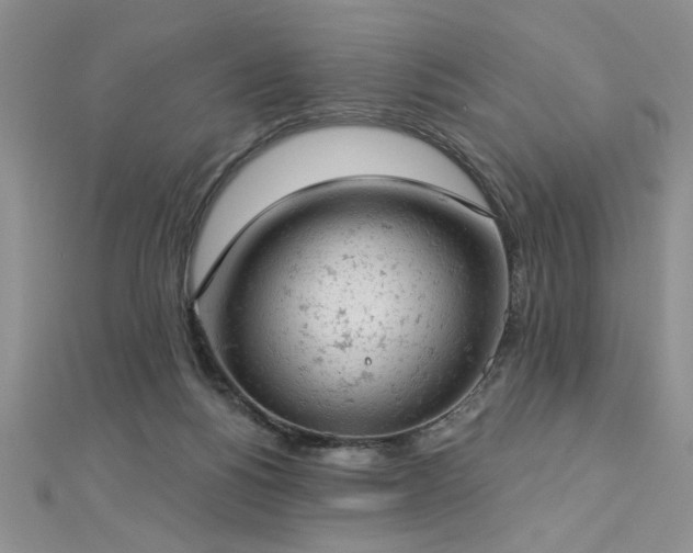 X0000112780168200908201536