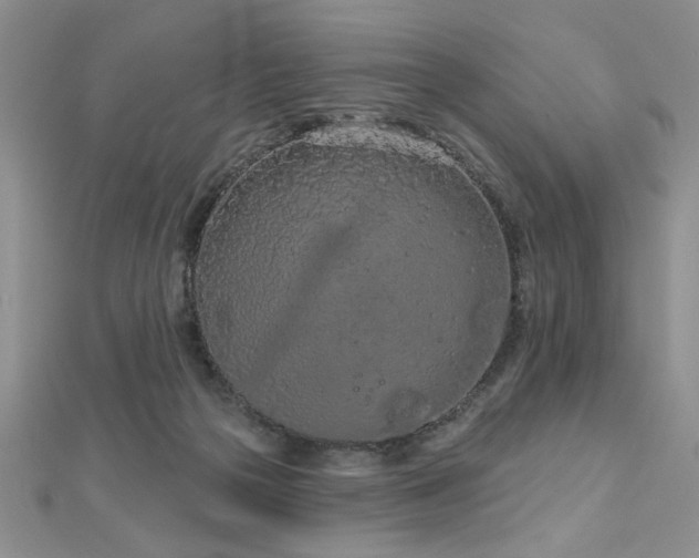 X0000112780169200908201536