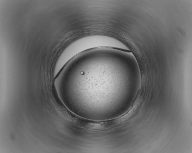 X0000112780170200908201536