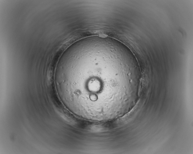 X0000112780171200908201536