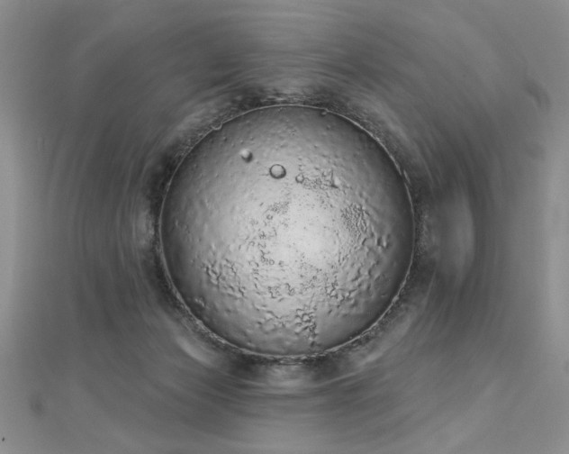 X0000112780173200908201536