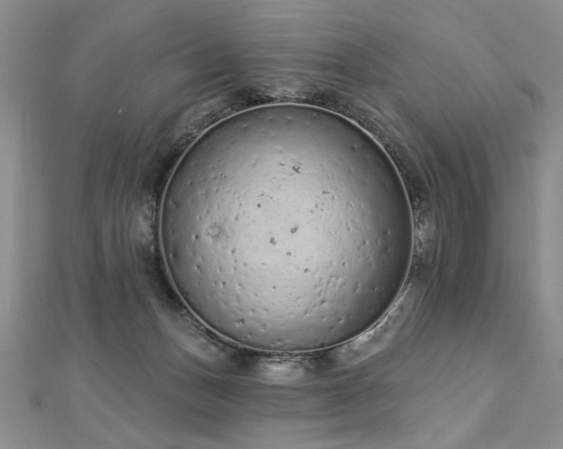 X0000112780175200908201536