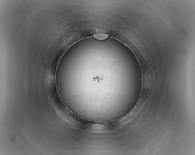 X0000112780176200908201536