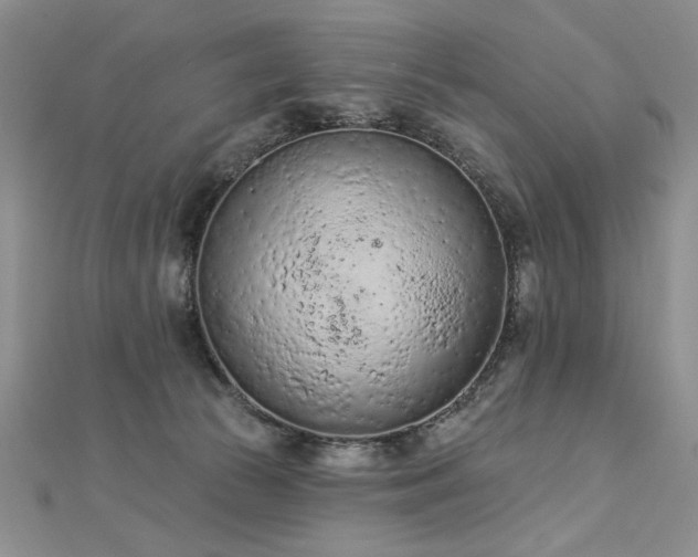 X0000112780177200908201536