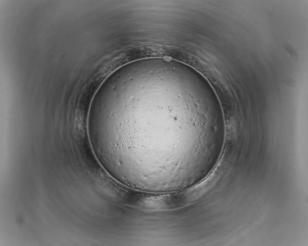 X0000112780178200908201536