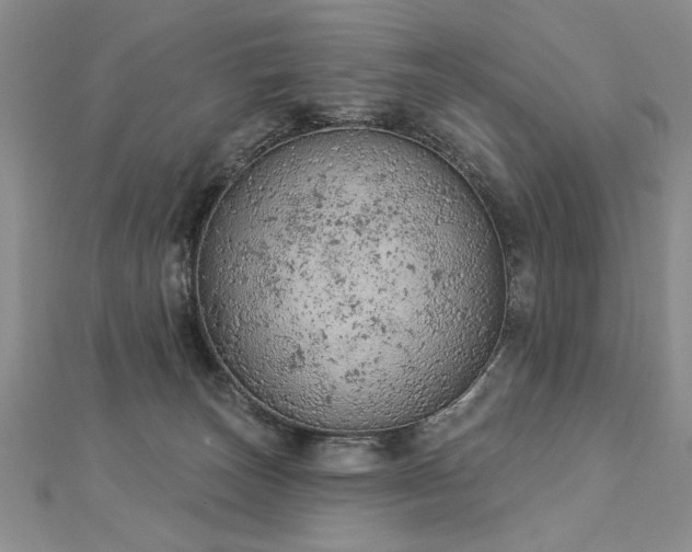 X0000112780179200908201536