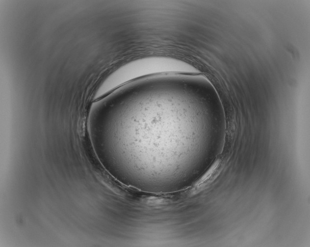 X0000112780180200908201536